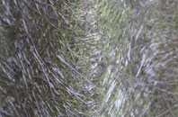 Higher Porthpean fibreglass roof work